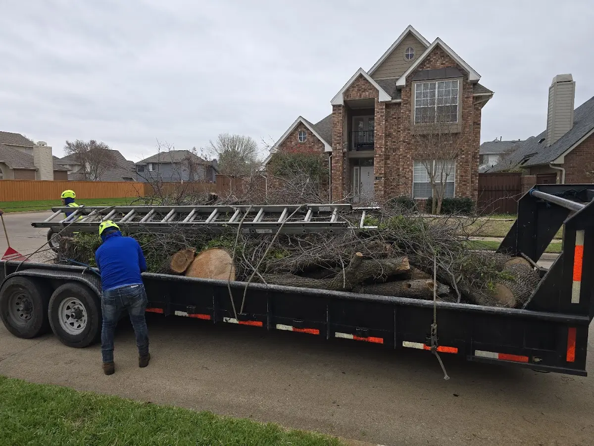Expert Tree Pest Control with proper safety equipment in Evansport